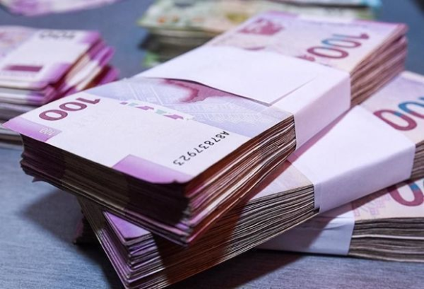 Prezident bu agentliyə 11,8 milyon manat ayırdı